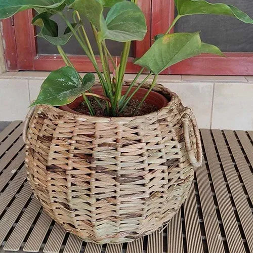 Planters & Décor