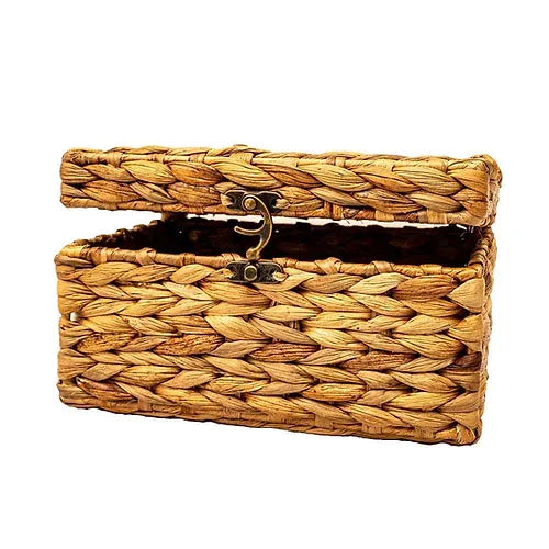 Saumya Trunk Storage