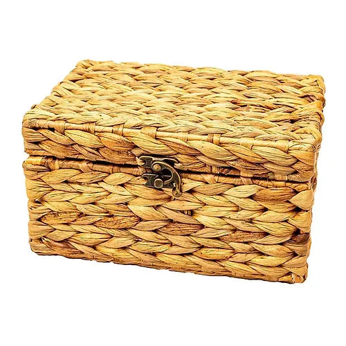 Saumya Trunk Storage